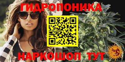 трава Краснознаменск