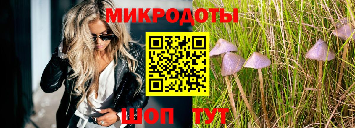 Галлюциногенные грибы Magic Shrooms Донской