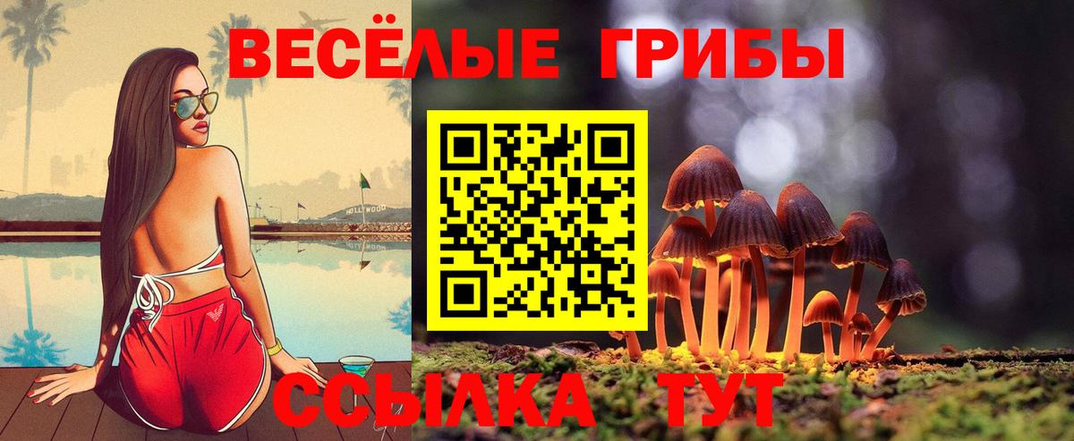 Галлюциногенные грибы мицелий  Вход с VPN  Донской 